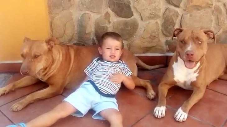perros con niños 03052017r23