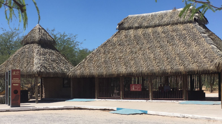crias centro ecologico sonora 11052017rg11 5