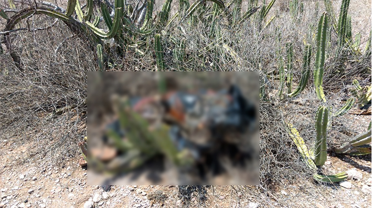 gmas muerto violencia