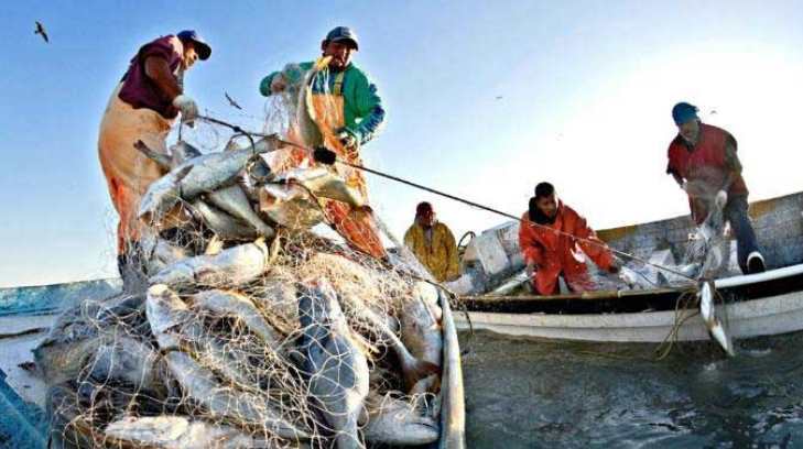 pesca 29072017ej 02