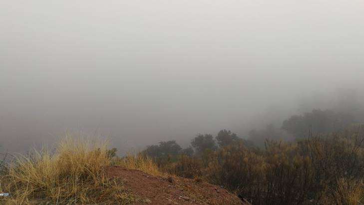 neblina en nogales 8