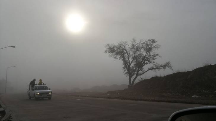 nogales niebla