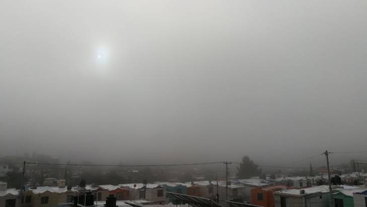 nogales niebla dos