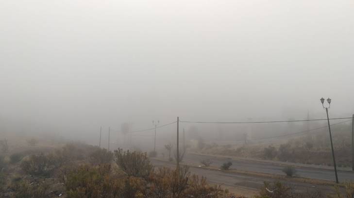 nogales niebla tres