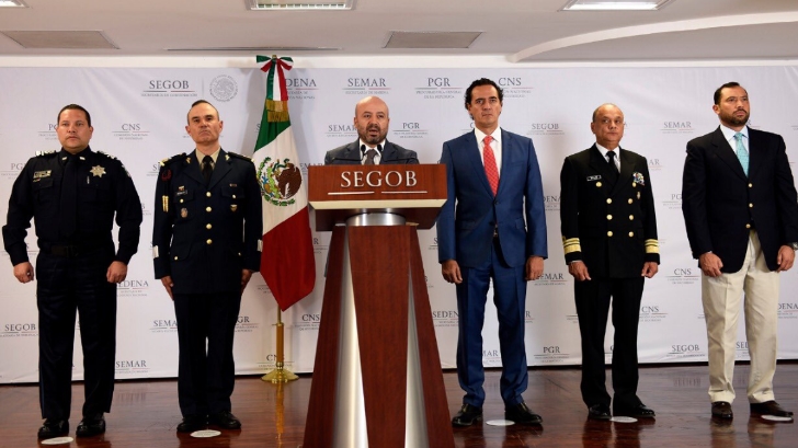 SegobEl80Chihuahua