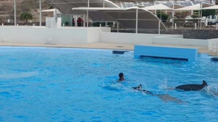 DelfinTanaDarLuzJulio