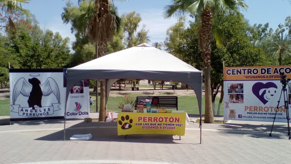 Perroton1