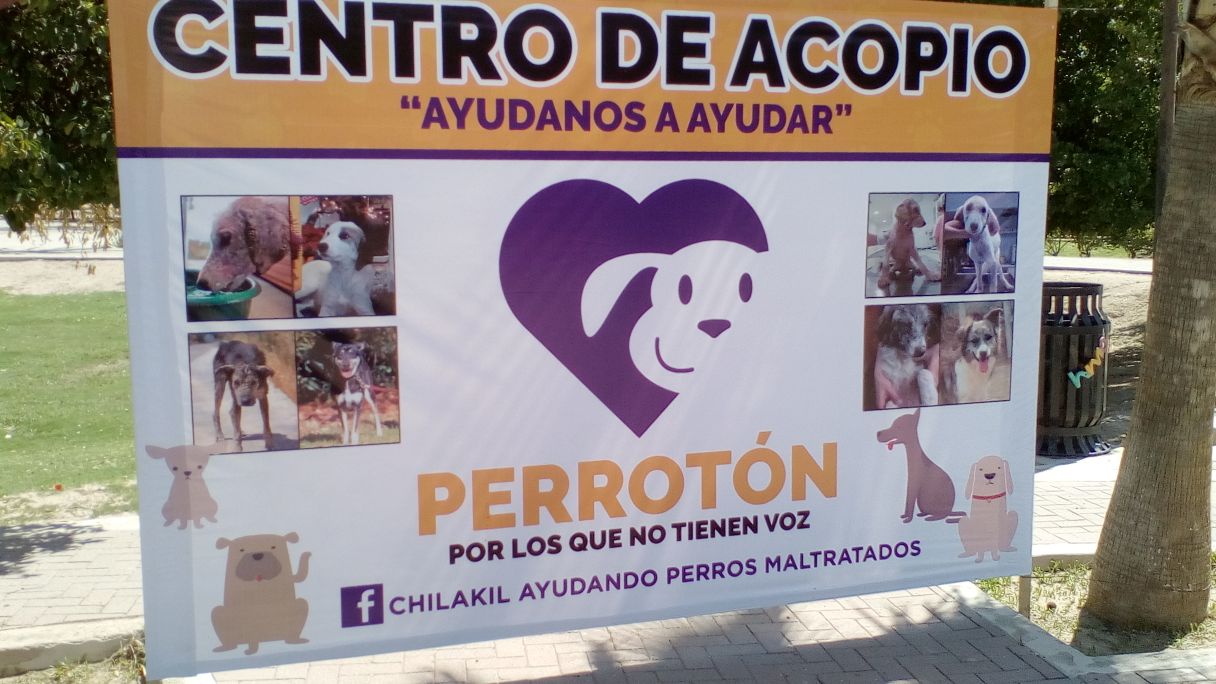 Perroton2