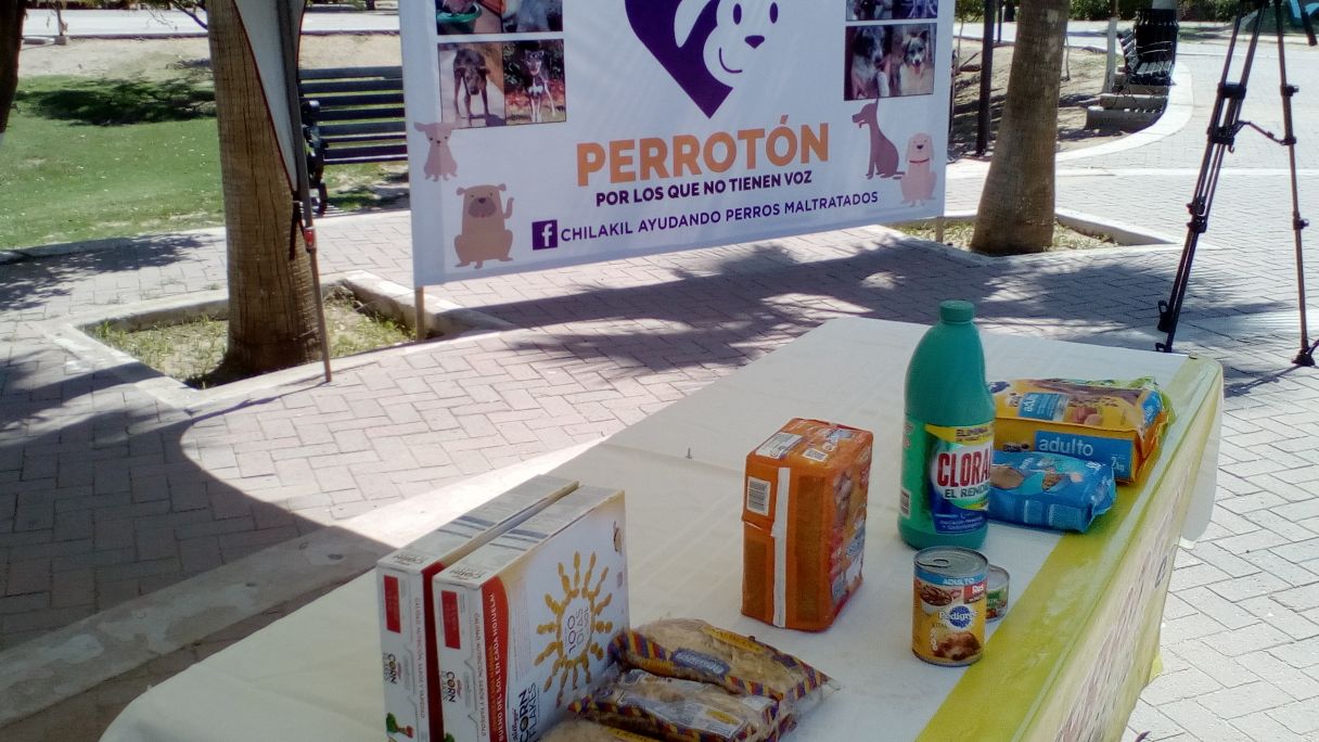 Perroton3
