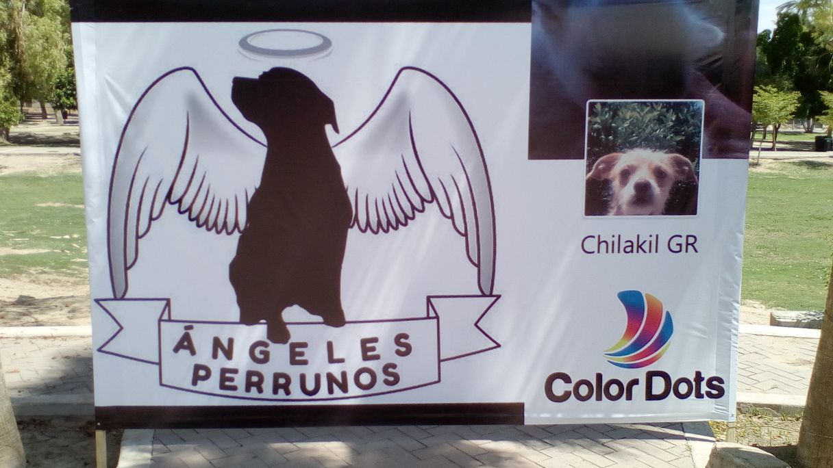 Perroton4