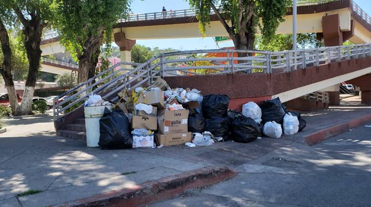 basura nogales cinco