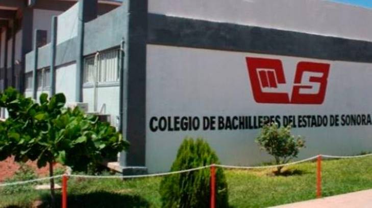 cobach sonora