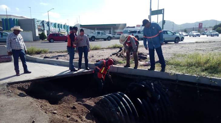 obras seis