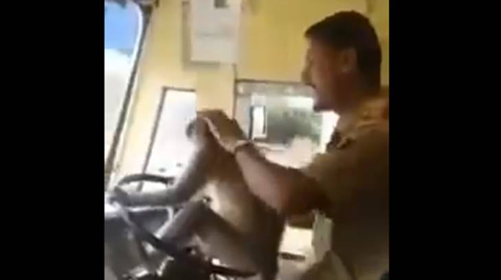 mono conduciendo