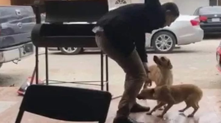 loco hiere a perrito
