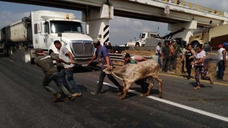 accidente veracruz 1