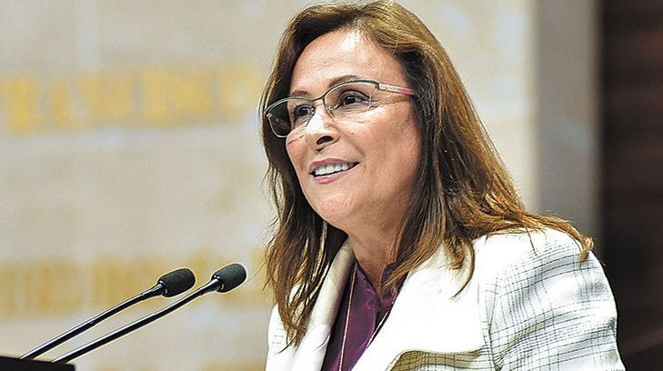 Rocio Nahle expreso