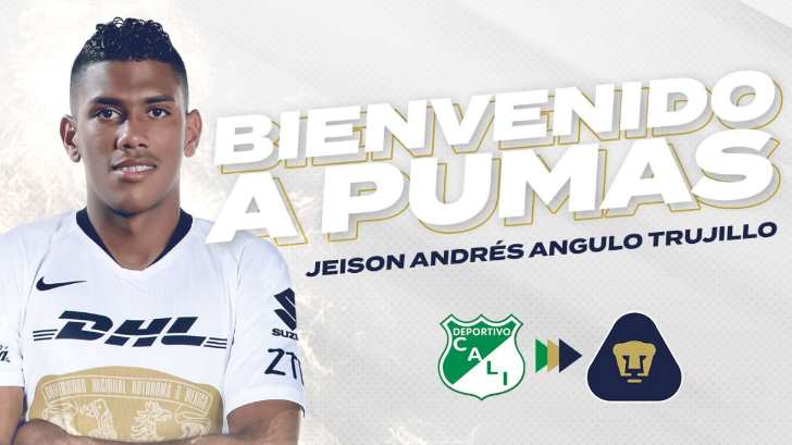 Pumas