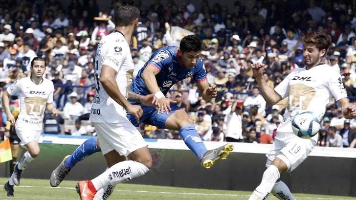 Pumas