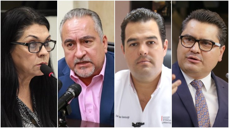 diputados locales
