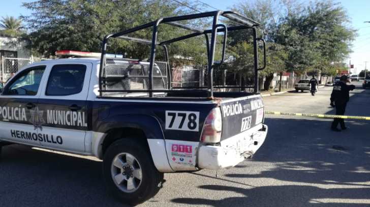 MuertoPaloVerde