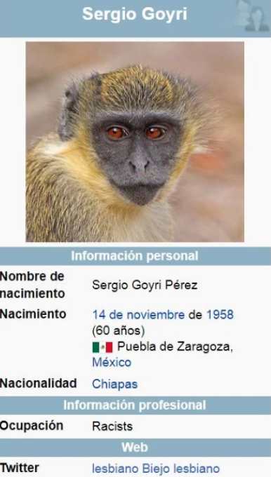 GoyriWikipedia