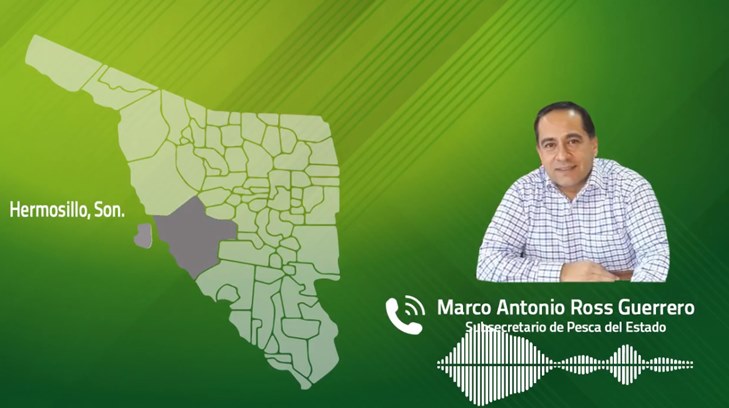 marcoantoniorossguerrero