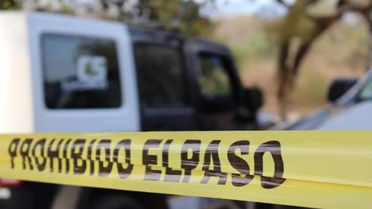 reastreadoras sinaloa hallan