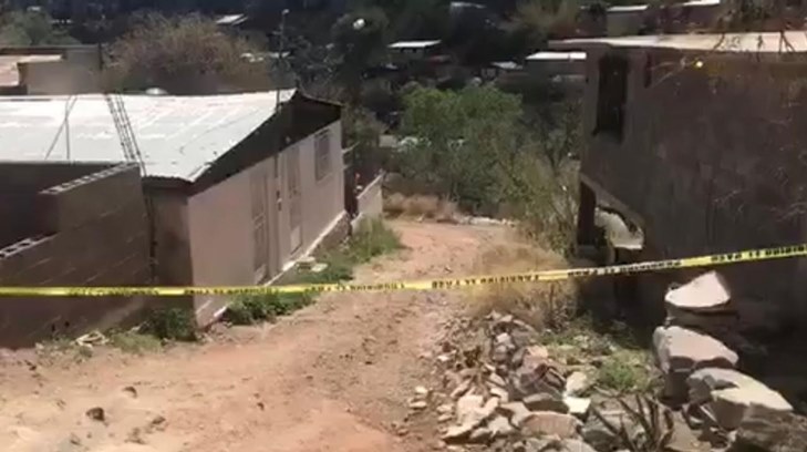 nogales dos
