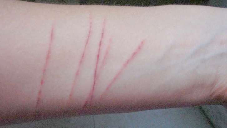 Cutting
