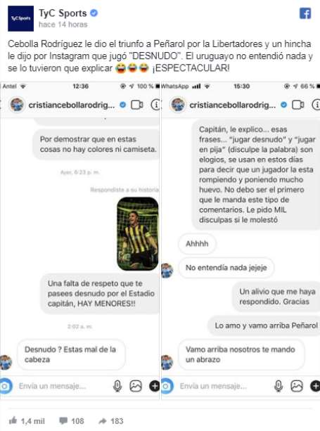 Cebolla