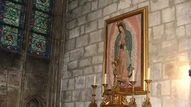 danios virgen notredame
