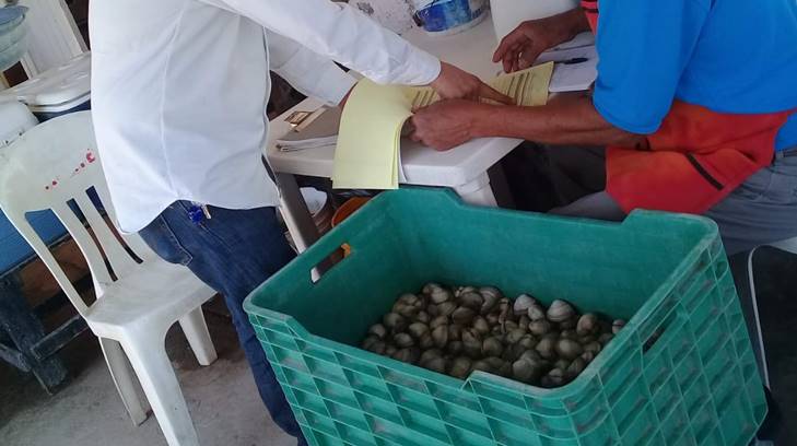 mariscos dos