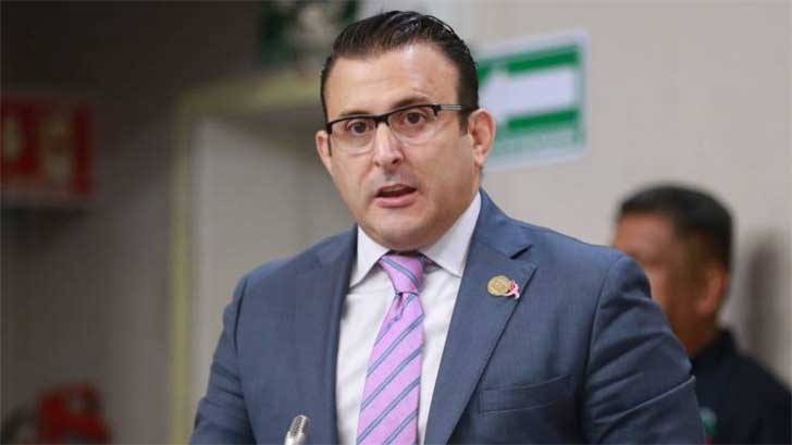 diputado verde congreso
