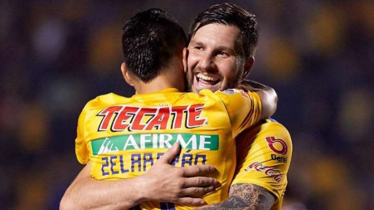 Tigres