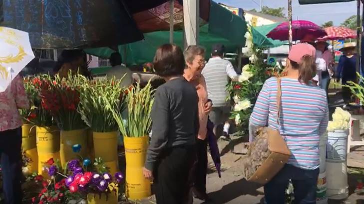 flores