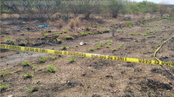 campo sangre hermosillo1