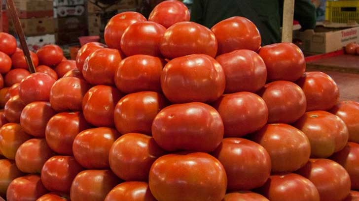 tomate tribunal eu