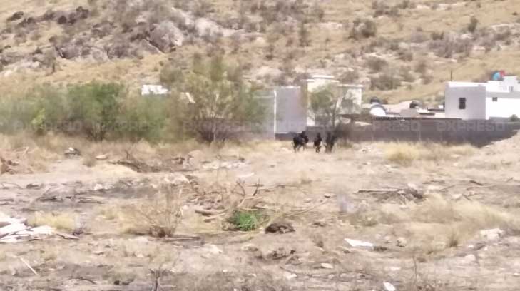 cateo hermosillo3
