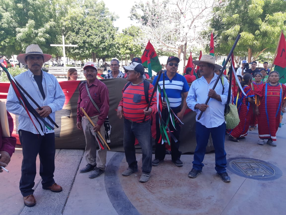 Jornaleros2