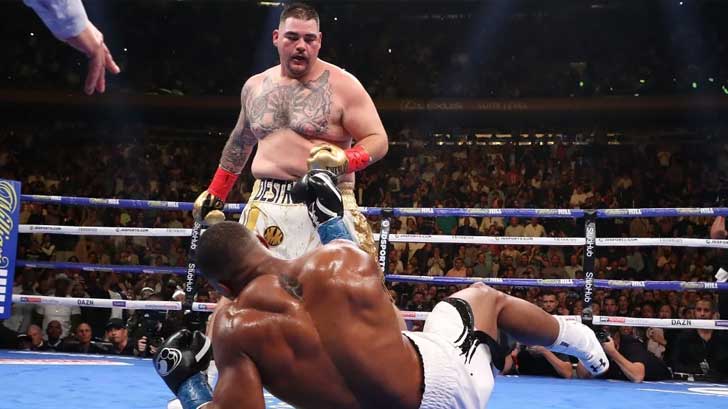 andy ruiz stallone