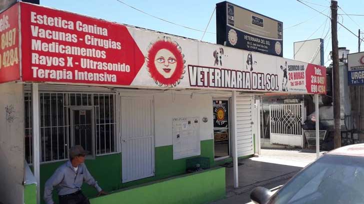 veterinario agrede detenido