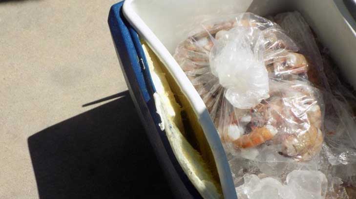 mariscos hielera ocultos