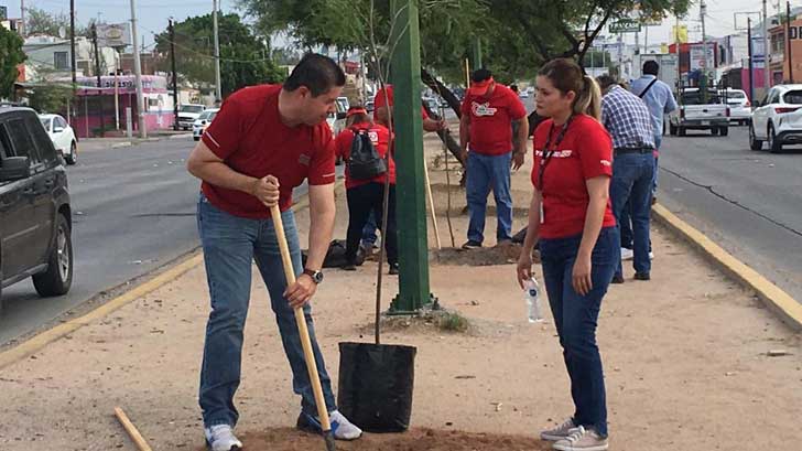 diadelarbol 1