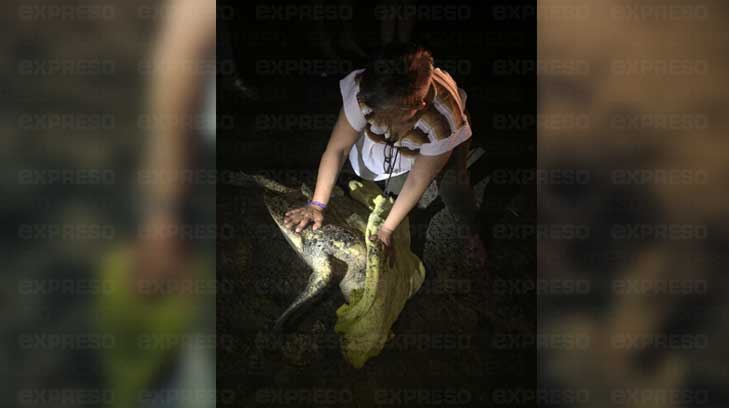 tortugas encuentran1