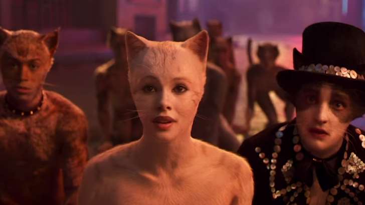 Cats