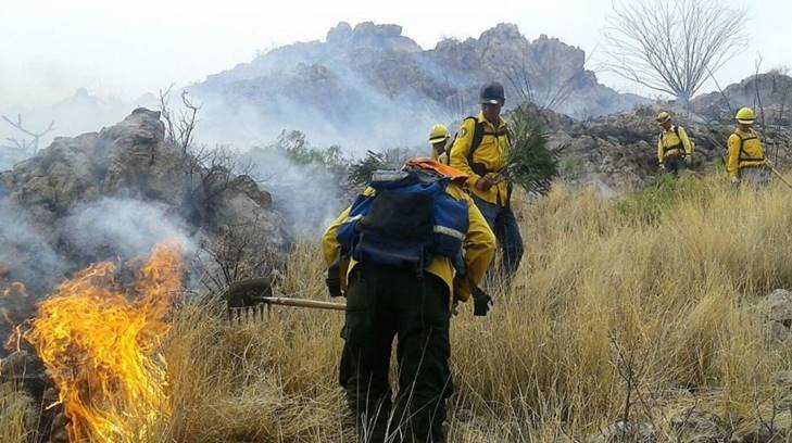 incendios sonora expreso
