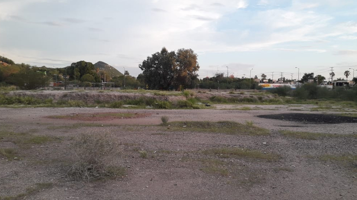 terreno musas