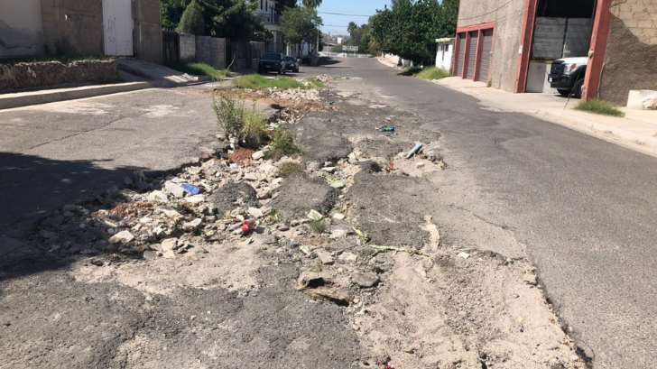 Baches