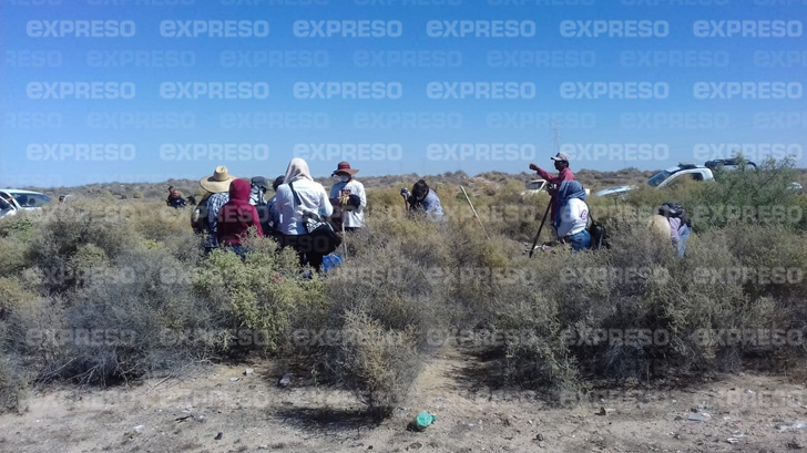 buscadoras sonora madres